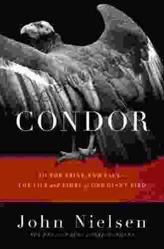 Condor: To The Brink And Back The Life And Times Of One Giant Bird