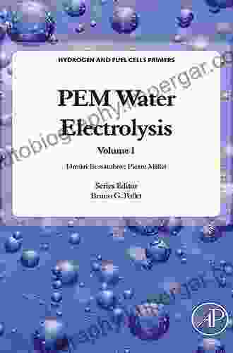 PEM Water Electrolysis (Hydrogen And Fuel Cells Primers 1)