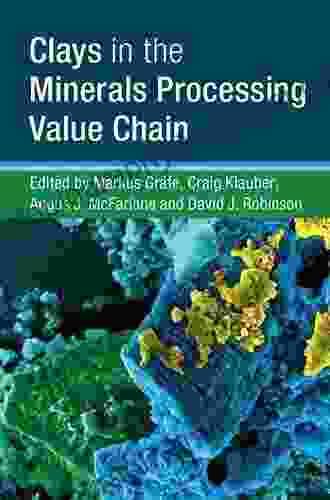 Clays In The Minerals Processing Value Chain