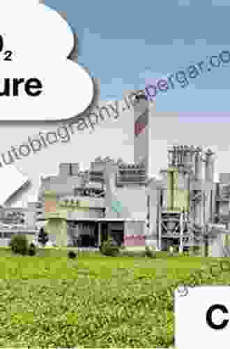 Carbon Capture Storage and Utilization: A Possible Climate Change Solution for Energy Industry