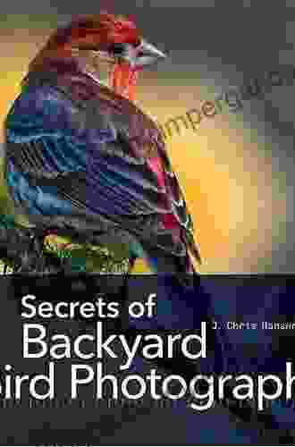 Secrets of Backyard Bird Photography