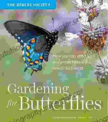 Gardening For Butterflies: How You Can Attract And Protect Beautiful Beneficial Insects