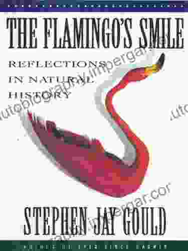 The Flamingo S Smile: Reflections In Natural History